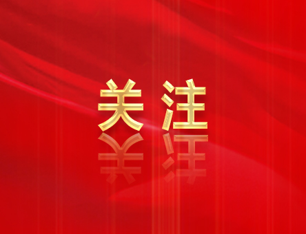 哪些行為屬于不執行黨中央決策部署？相關的處分規定有哪些？